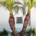 smart vent 1540 511 white dual function double stacker block wall 16 x 16 flood vent 1375 82708 73685